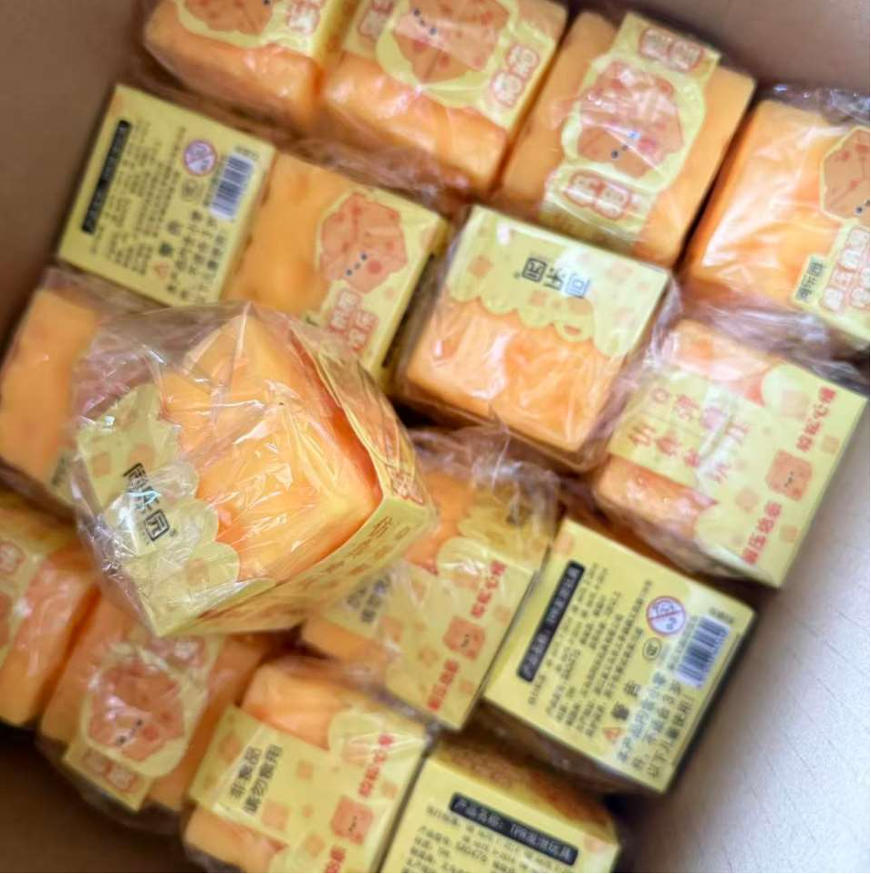 Squishy Cheese PREORDER